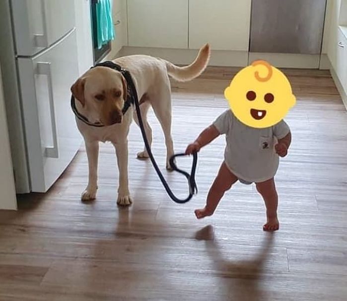 애니멀플래닛