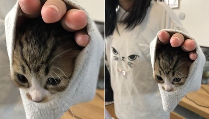 애니멀플래닛