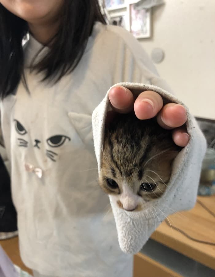 애니멀플래닛