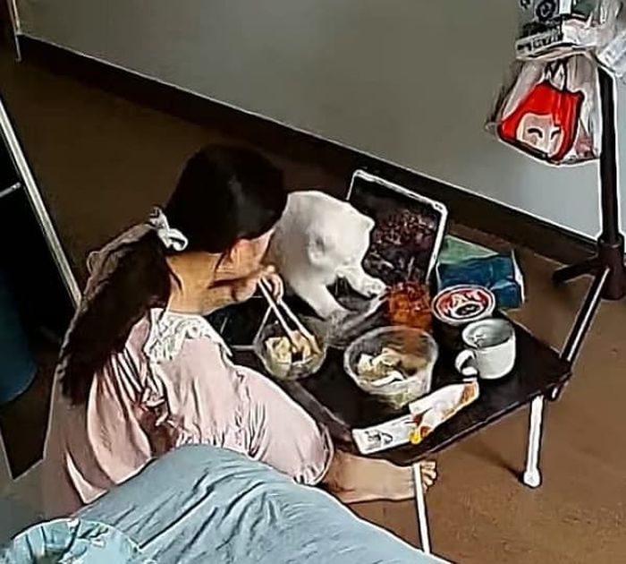 애니멀플래닛