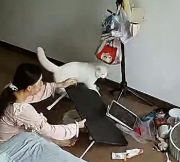 애니멀플래닛