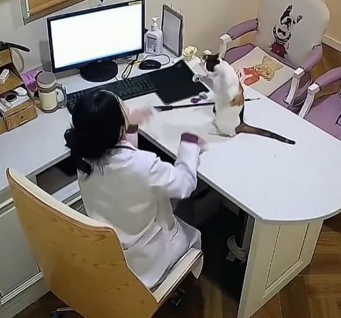 애니멀플래닛