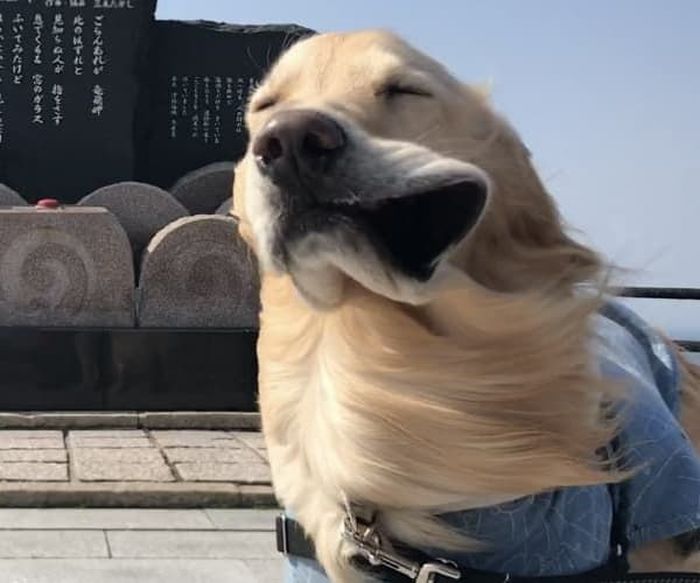 애니멀플래닛