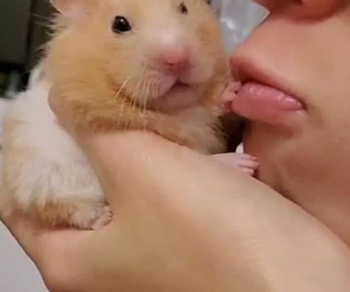 애니멀플래닛