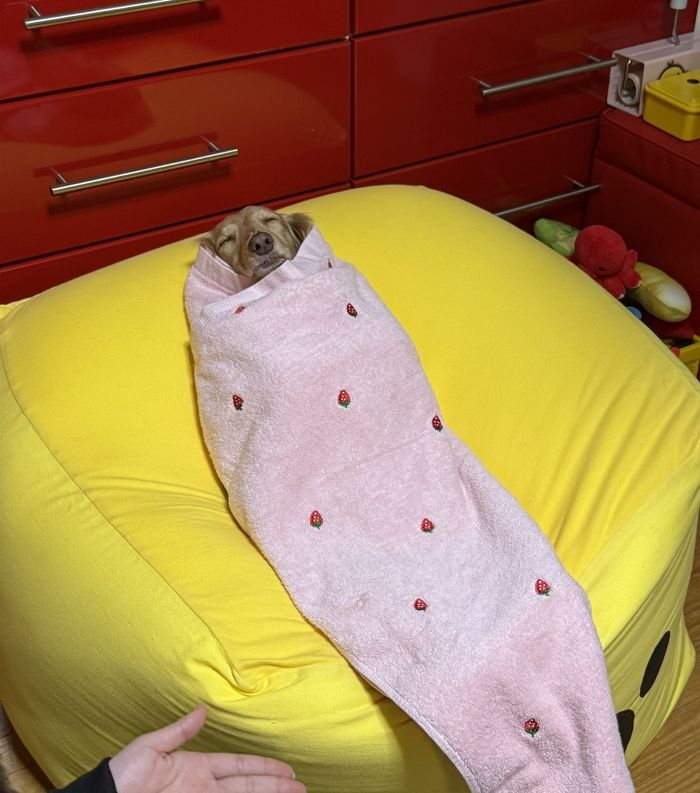 애니멀플래닛