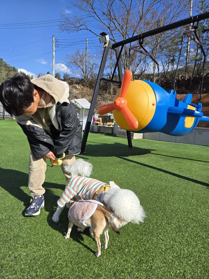 애니멀플래닛