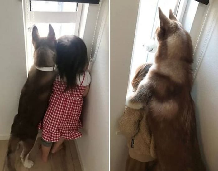 애니멀플래닛