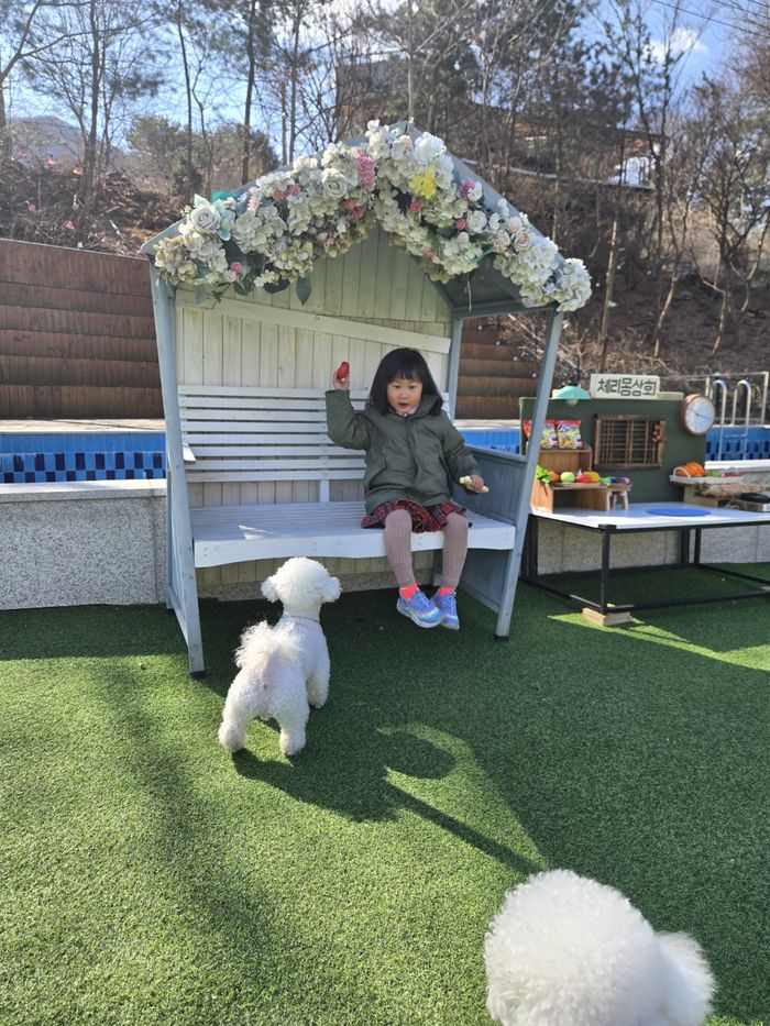 애니멀플래닛
