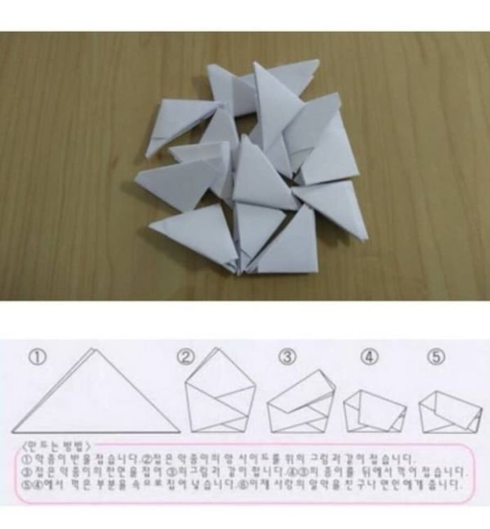 애니멀플래닛