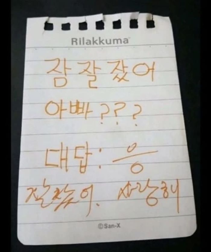 애니멀플래닛