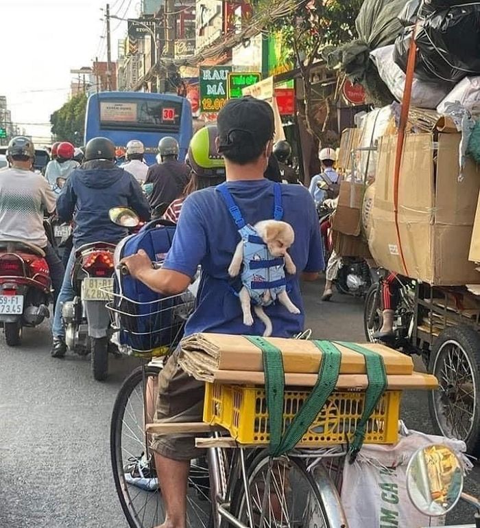 애니멀플래닛