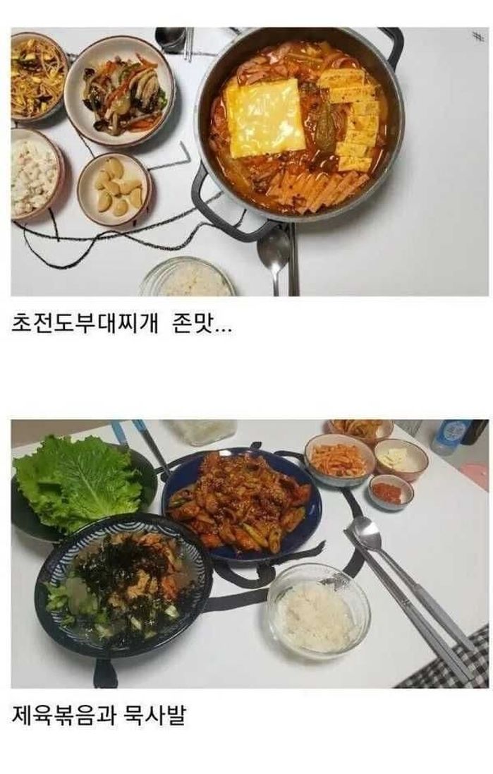 애니멀플래닛