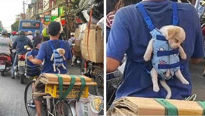 애니멀플래닛