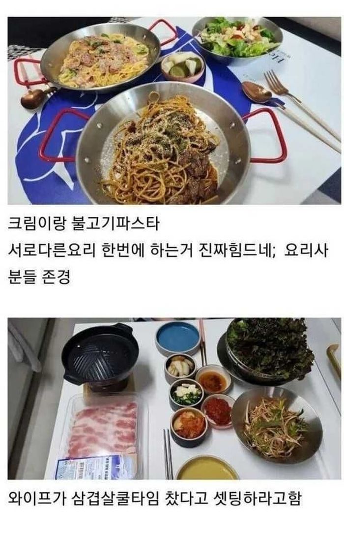 애니멀플래닛