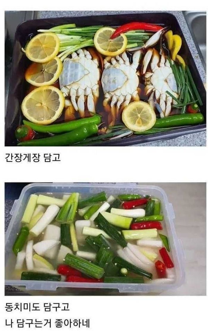 애니멀플래닛