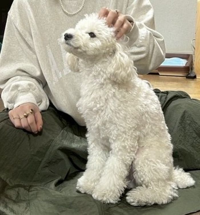 애니멀플래닛
