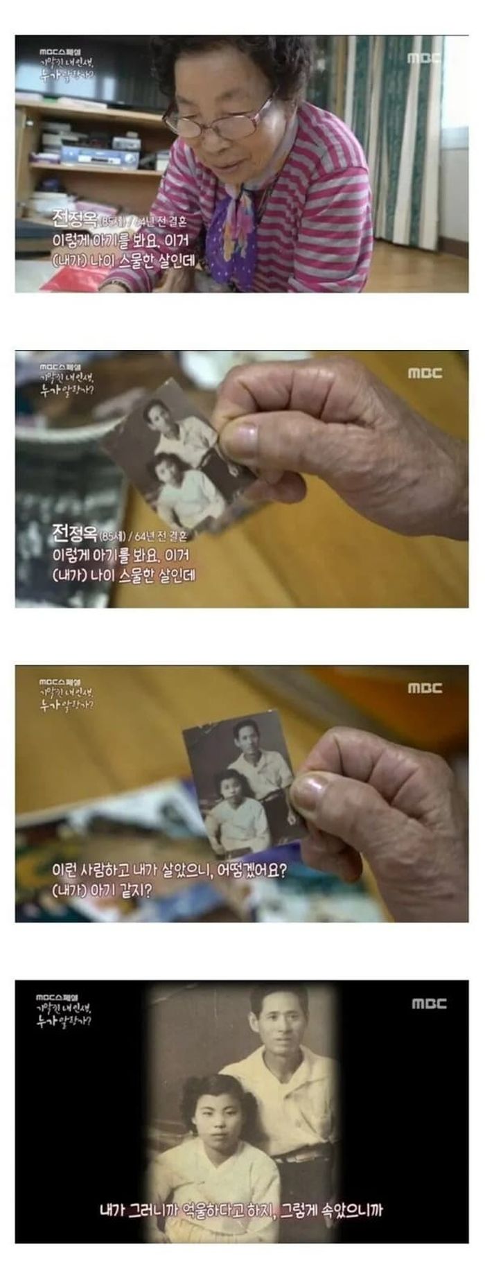 애니멀플래닛