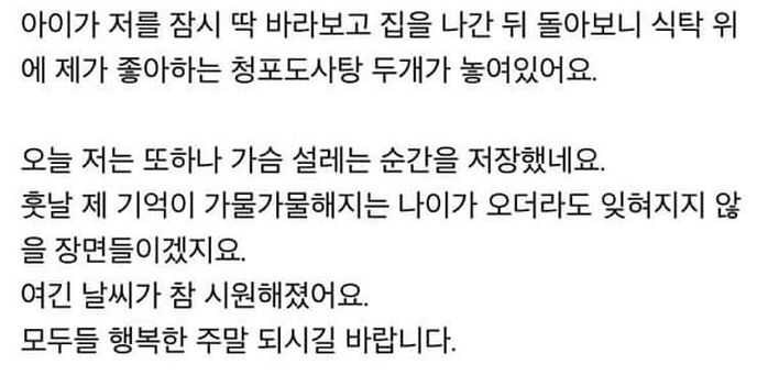 애니멀플래닛