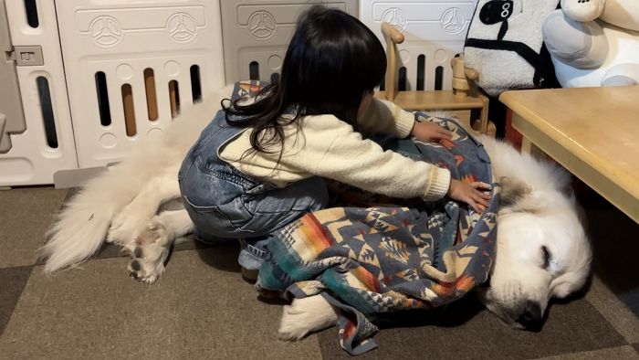 애니멀플래닛