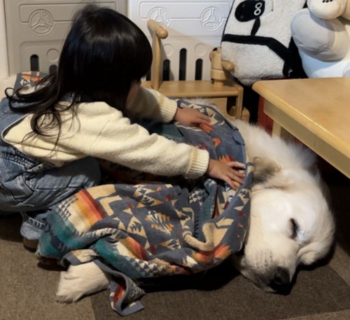 애니멀플래닛
