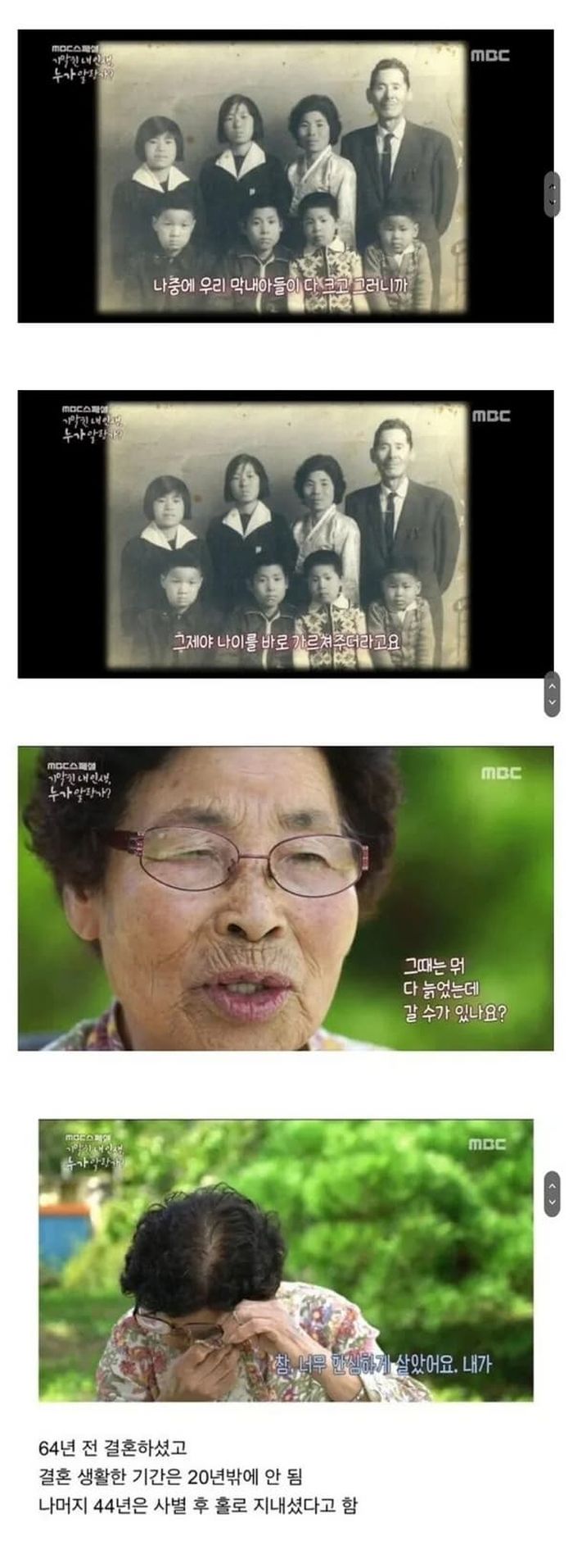 애니멀플래닛