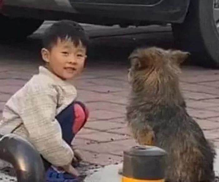 애니멀플래닛
