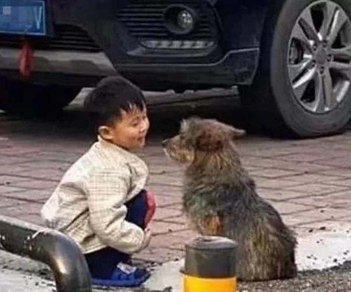 애니멀플래닛
