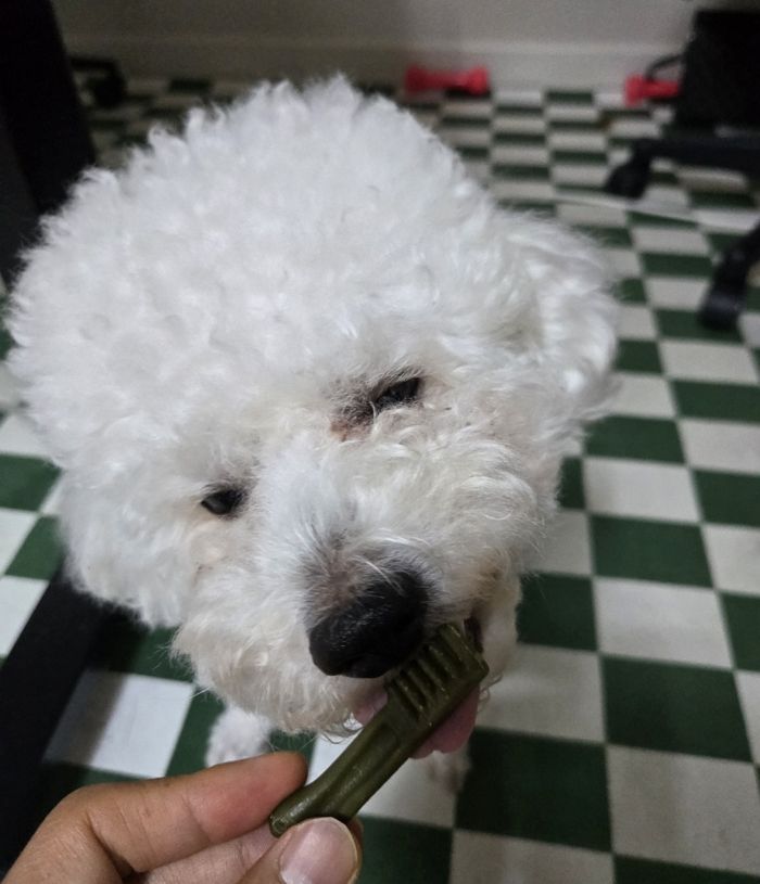 애니멀플래닛