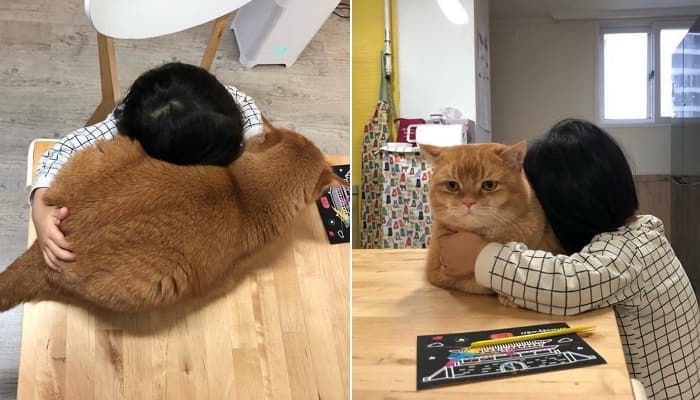 애니멀플래닛