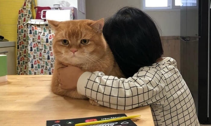 애니멀플래닛