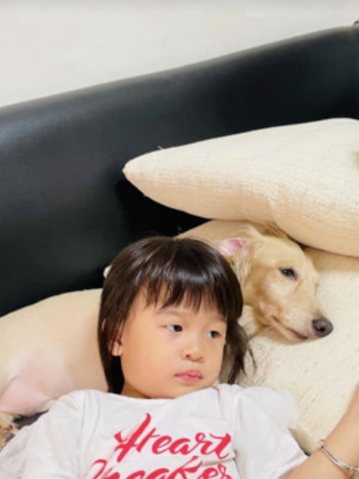 애니멀플래닛