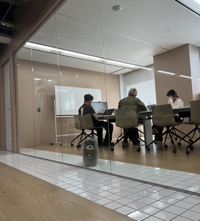 애니멀플래닛