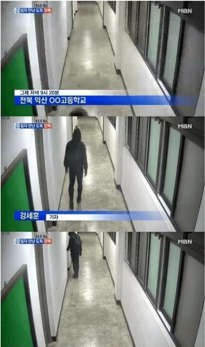 애니멀플래닛