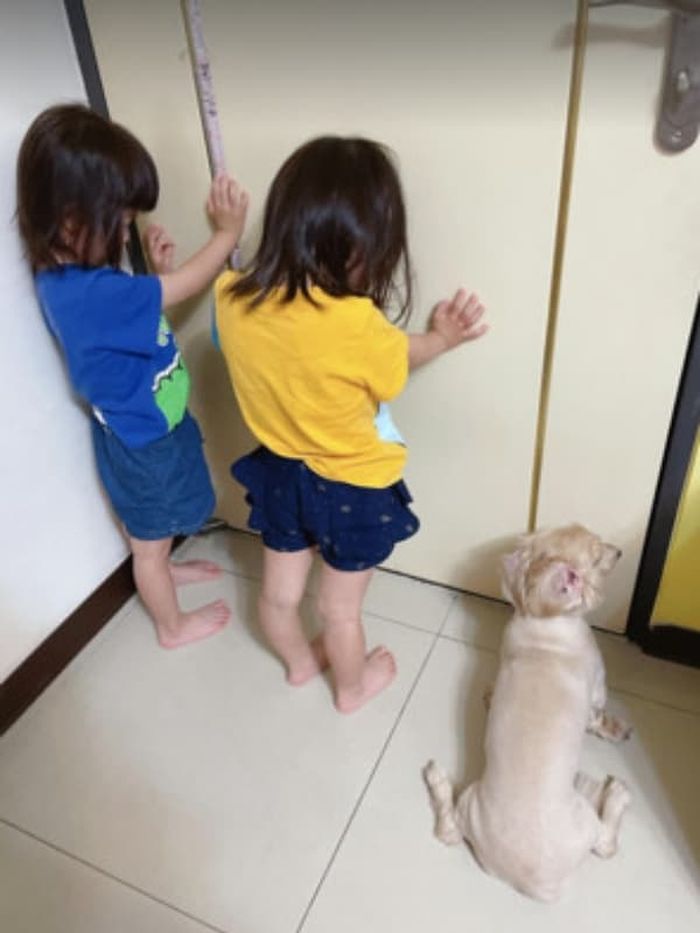 애니멀플래닛