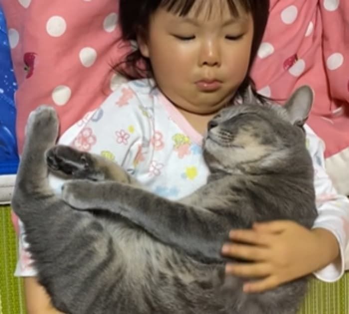 애니멀플래닛