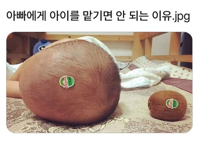 애니멀플래닛