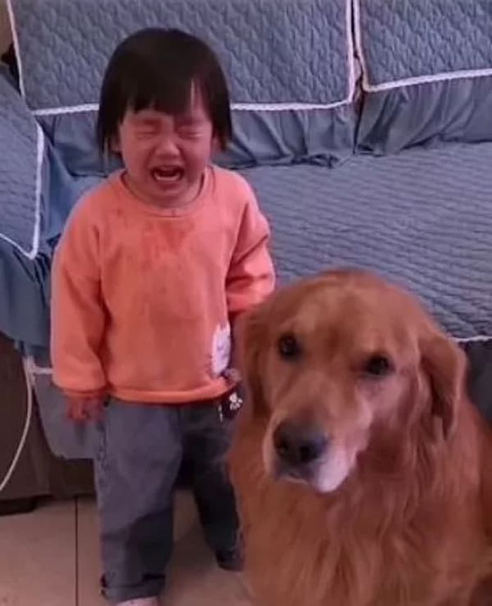 애니멀플래닛