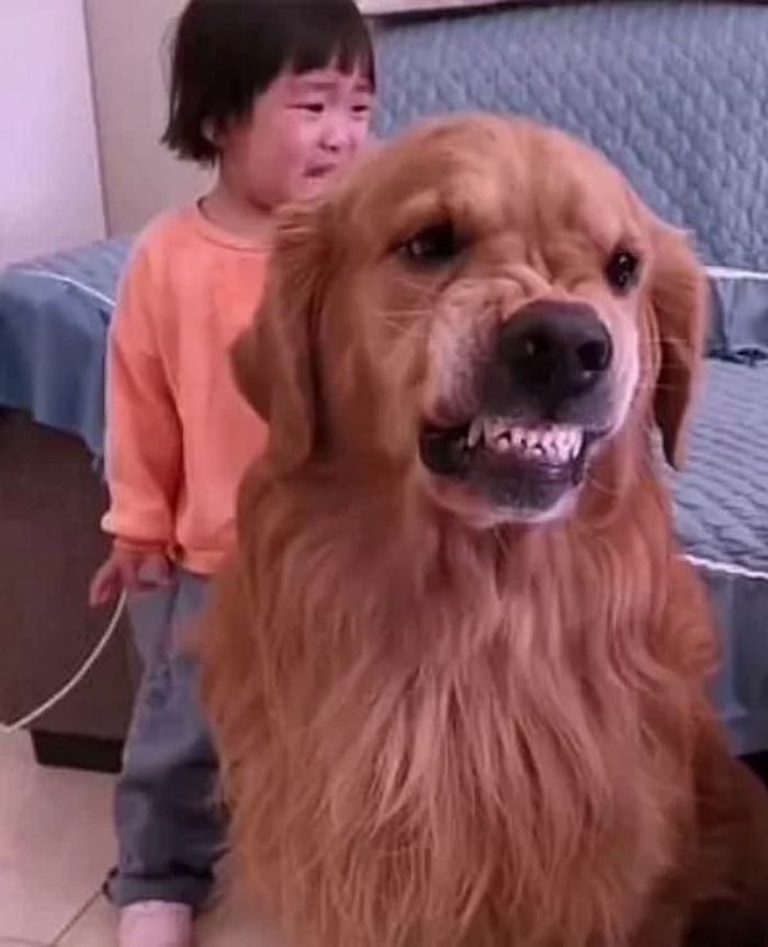 애니멀플래닛