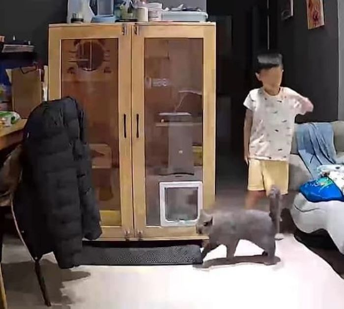 애니멀플래닛