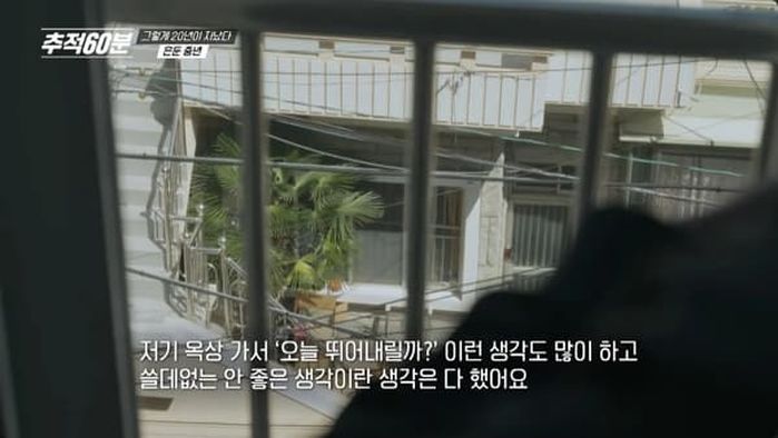 애니멀플래닛