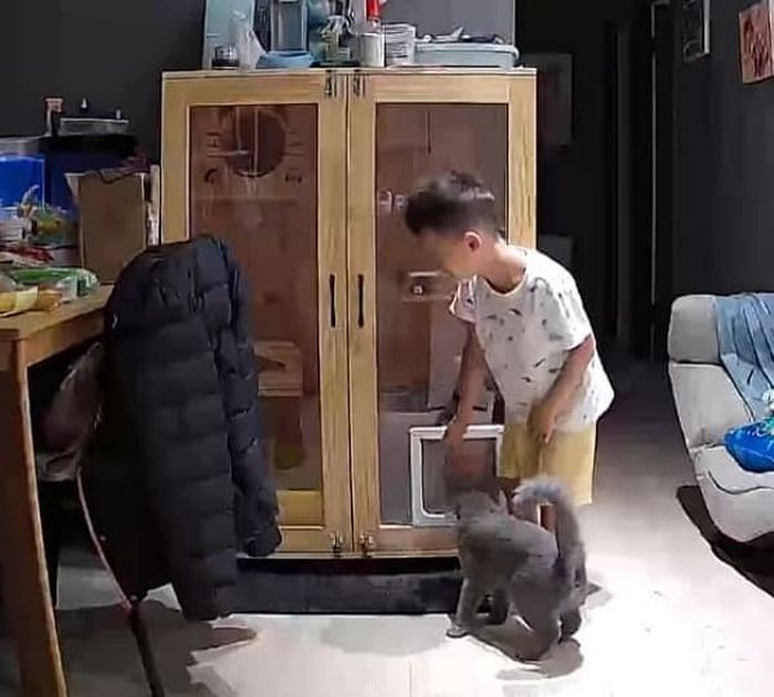 애니멀플래닛