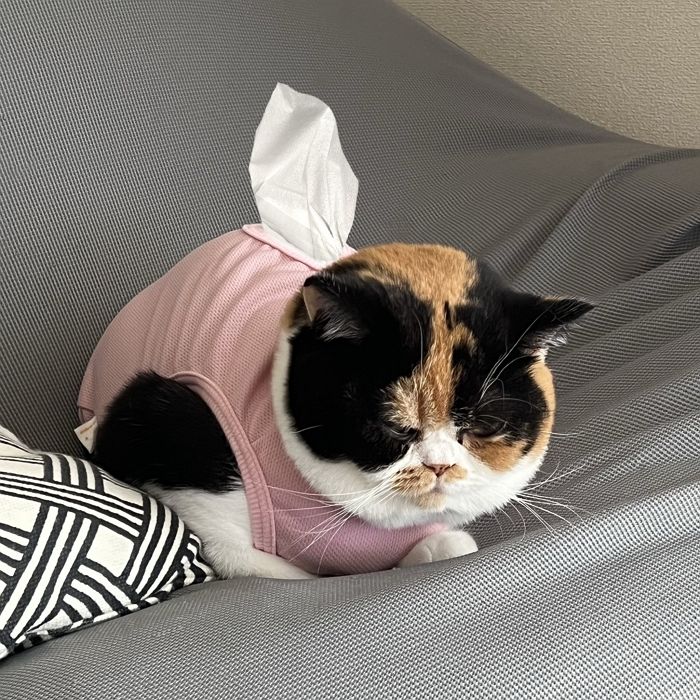 애니멀플래닛