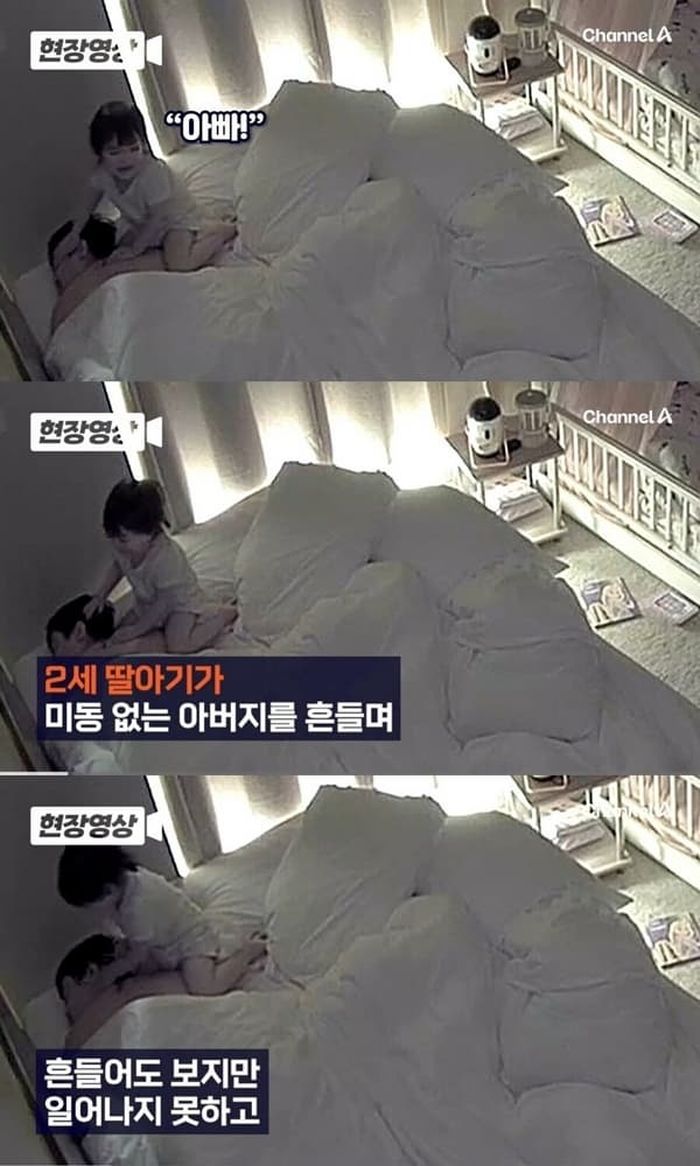 애니멀플래닛