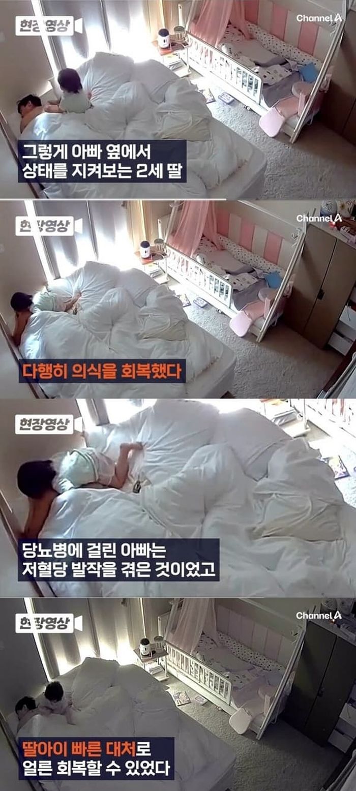 애니멀플래닛