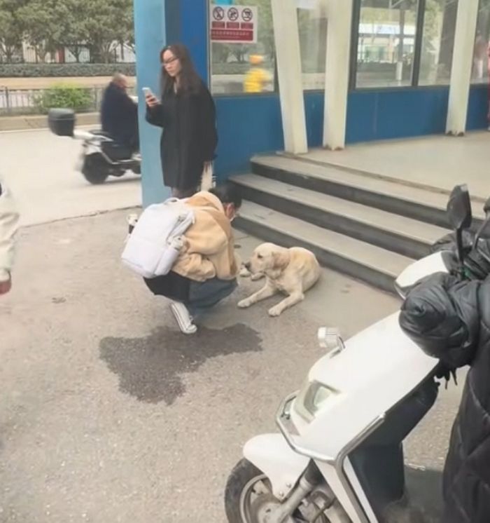 애니멀플래닛