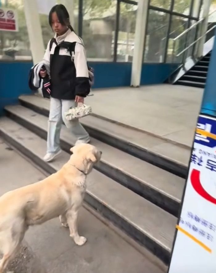 애니멀플래닛