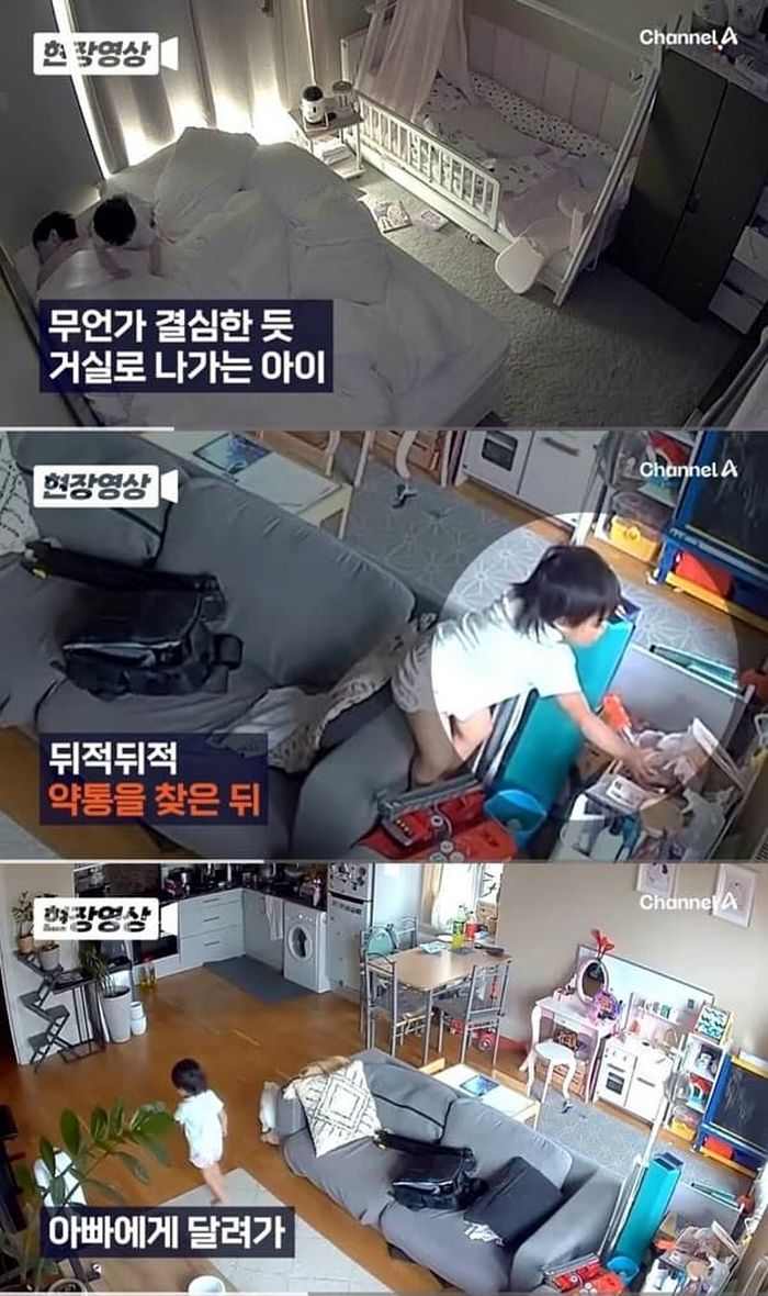 애니멀플래닛