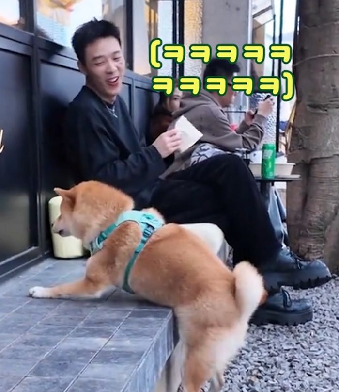 애니멀플래닛
