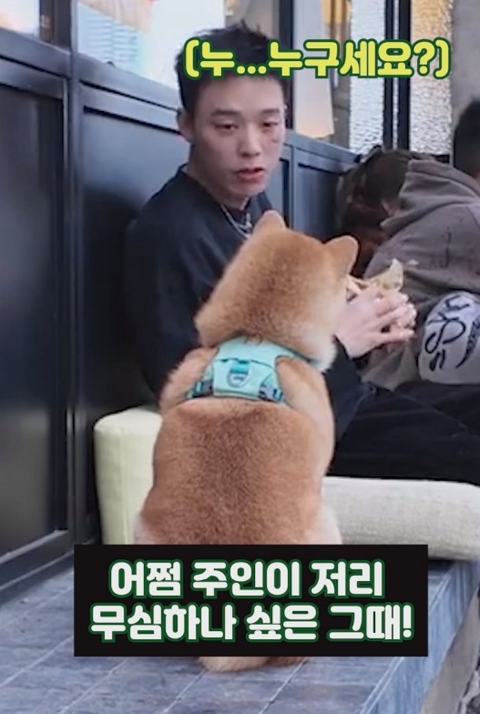 애니멀플래닛