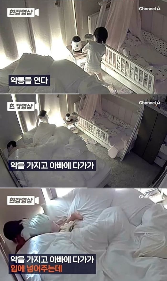 애니멀플래닛